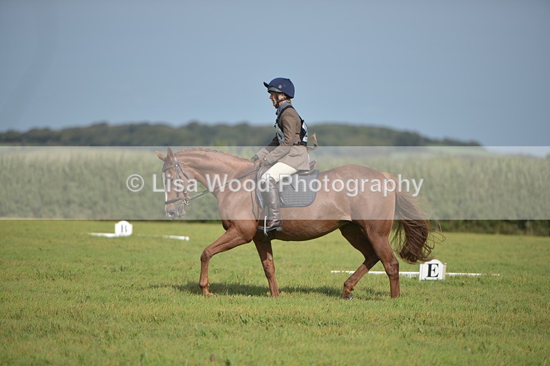 RAY_7838 - Class 2B: Trekenning Open: Dressage
