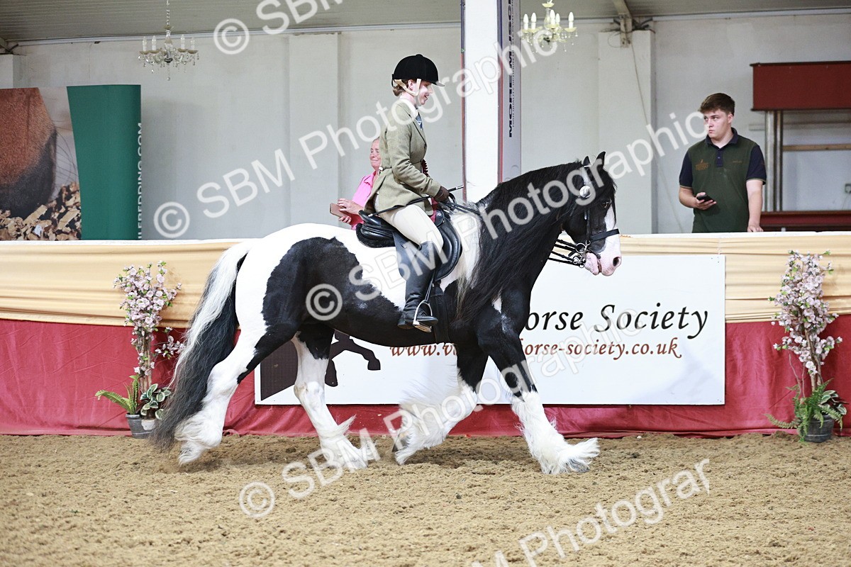 SBM_08631 - Regional Ridden Champ