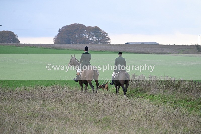 WJ7_9870 - Camera 1 & Last fence