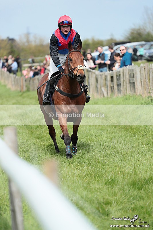 PtP 180426 357 - Worcestershire Hunt PtP Chaddesley Corbett 18/04/26