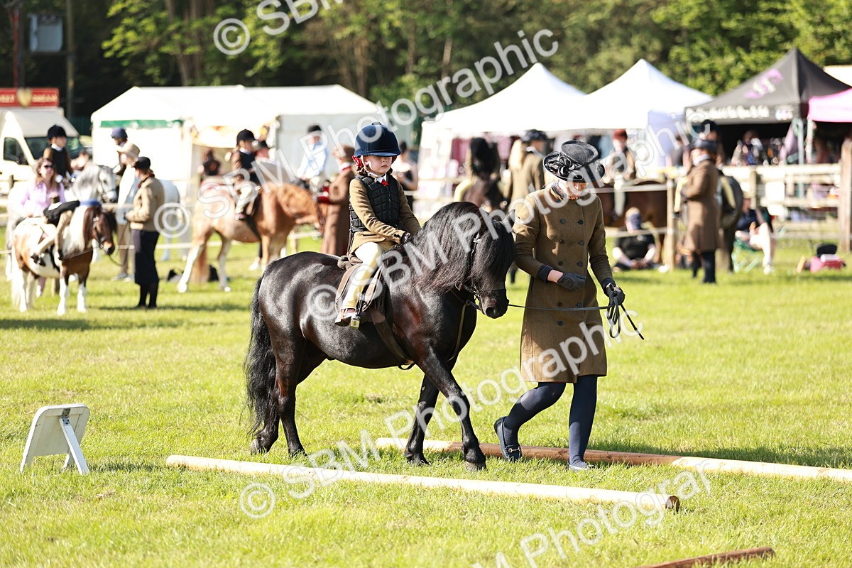 SBM_11268 - Class 106-107 - BSPS LIHS Working Sports Pony