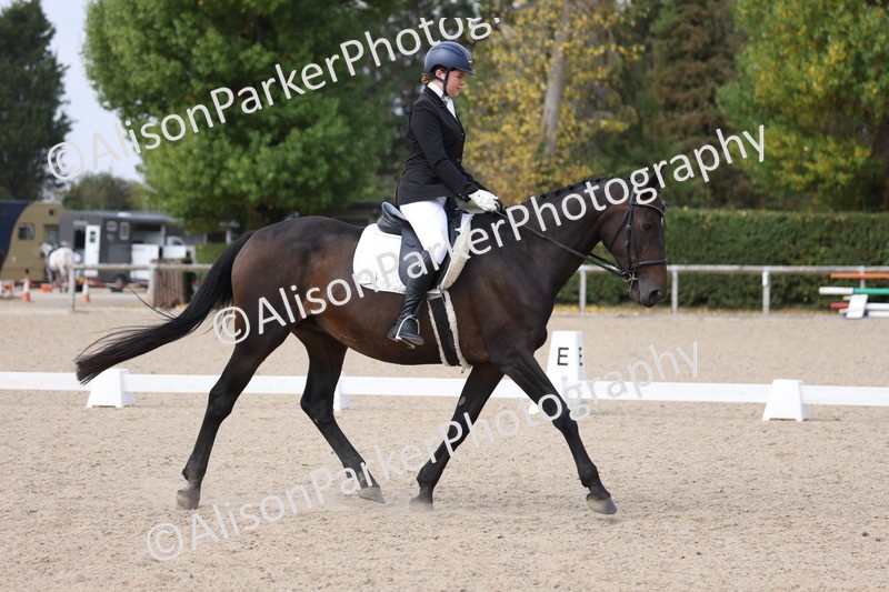 20250819-1501 - Class 4 - Novice 2