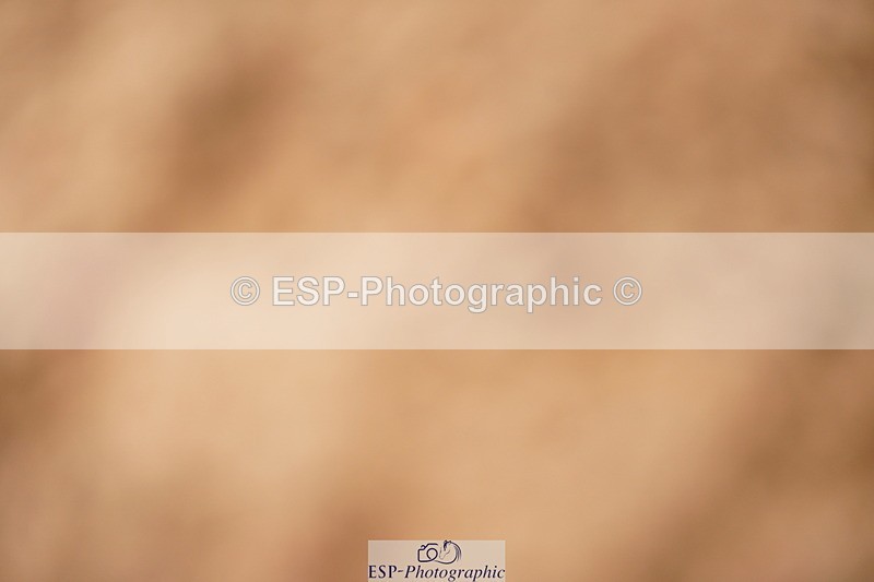 240524A-111938-03080 - Cls 14 Newcomers