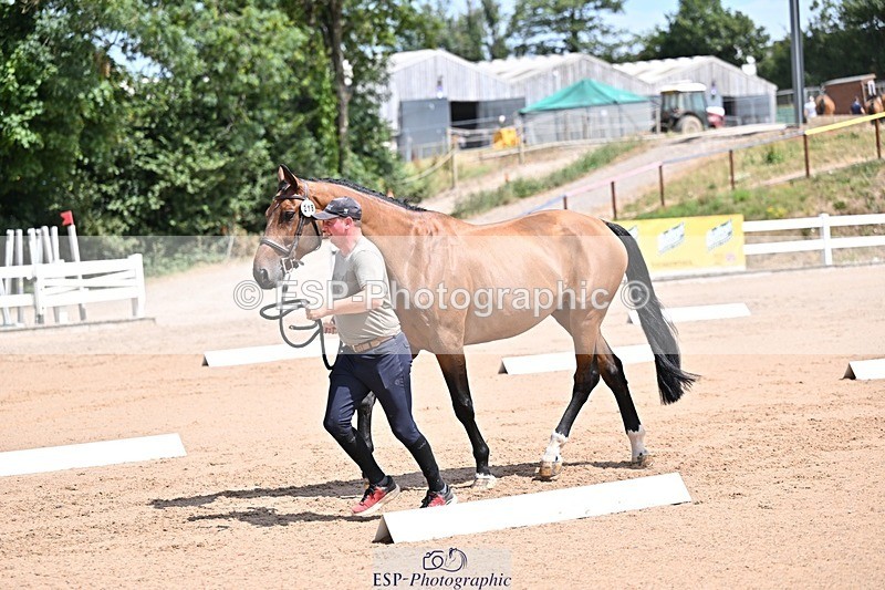 250716-125009-00196 - Trot Up 12.30 to 1.30