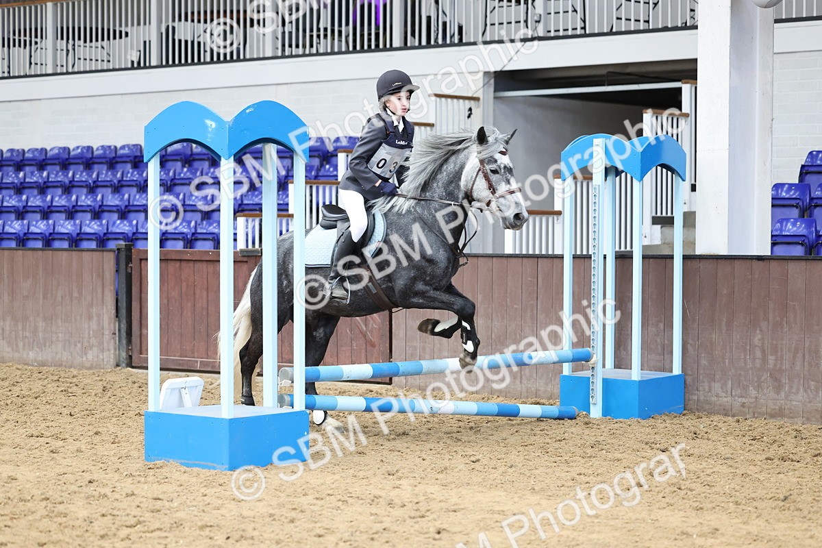 SBM_007298 - Class 2 - 50cm showjumping
