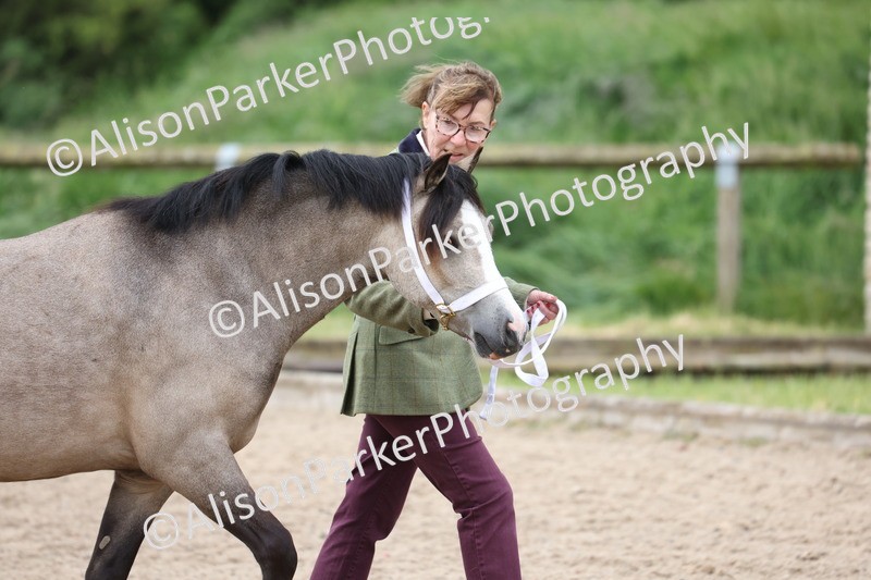 20250524-0101 - Class 2 - Youngstock