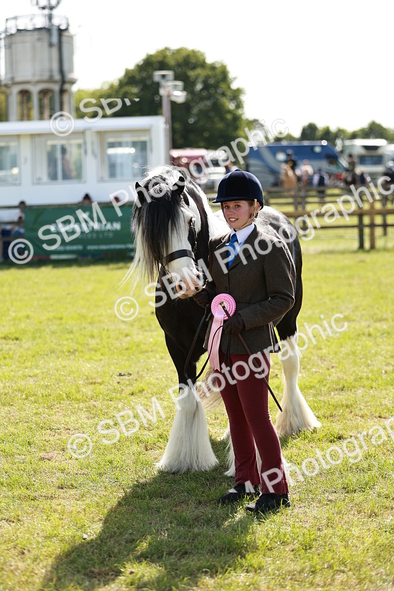 SBM_08933 - Class 63-65 - Traditional Gypsy Cobs In Hand & Ridden