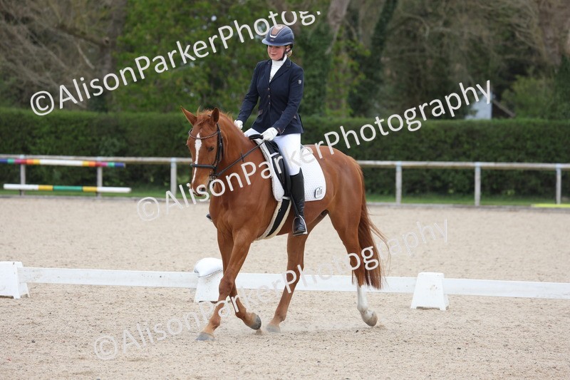 20260404-0138 - Class 2 - Intro 4