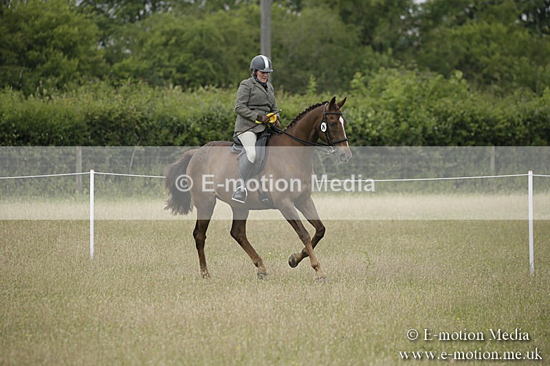 B230619-0366 - Bourne Valley Riding Club Summer Show 23/06/19