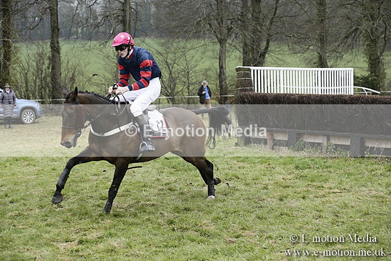 PtP 020418 -146 - Old Berks Point-to-Point Races Easter Monday 02/04/18