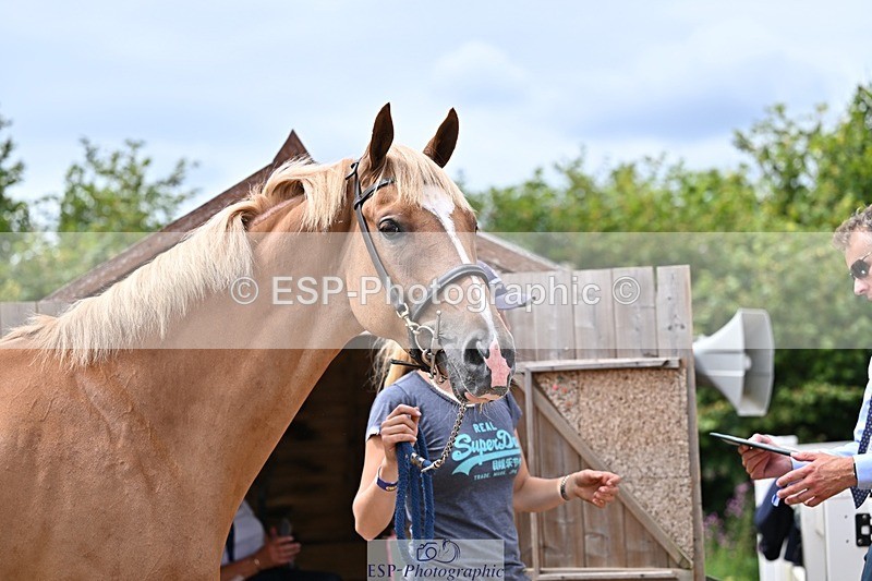 250716-132733-00529 - Trot Up 12.30 to 1.30