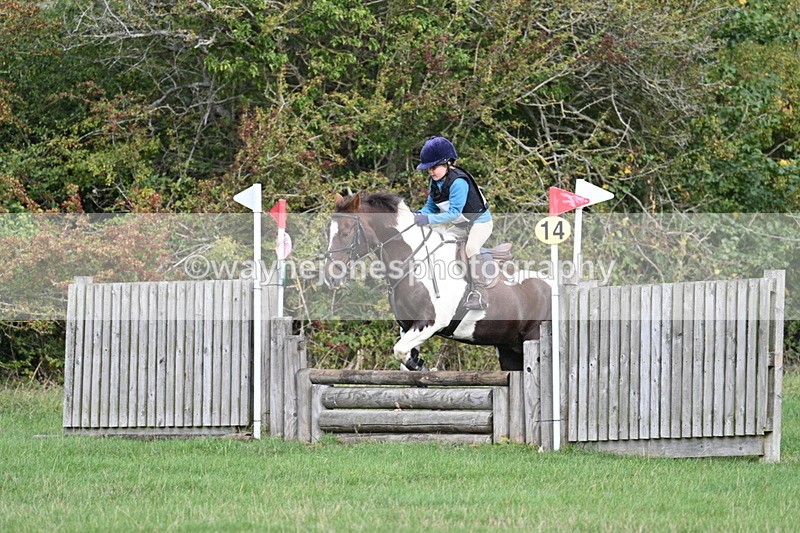 WJ7_8389 - 60cm Pairs