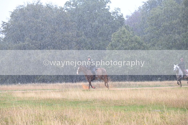 DSC_3107 - Time at Statue 12:59 to 13:49