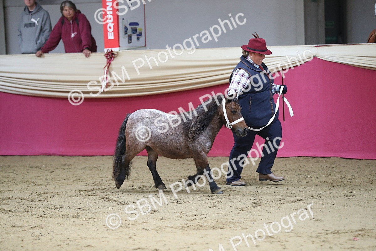 SBM_01329 - Class 3a Area IH Pre Vet