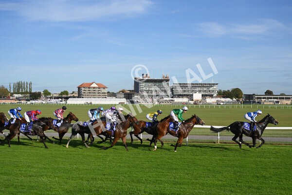yr08102021r4-26 - Race 4 3.50pm Casumo Dare To be Different Handicap