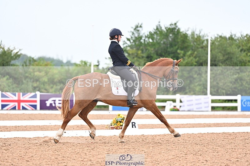 240815A-135855-01717 - 170-India.John-Grayswood.Orlando