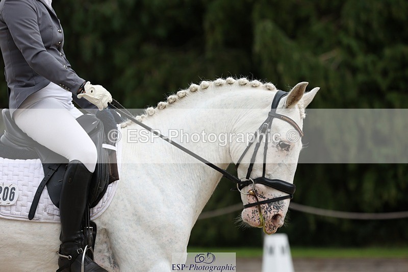 230813-143626-07833 - Cls 11 Elem Bronze 14.30 to End