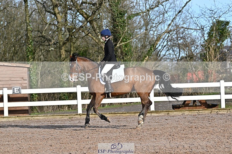 250125-104012-00204 - Dressage - CT Class 4 BE95 (80cm)