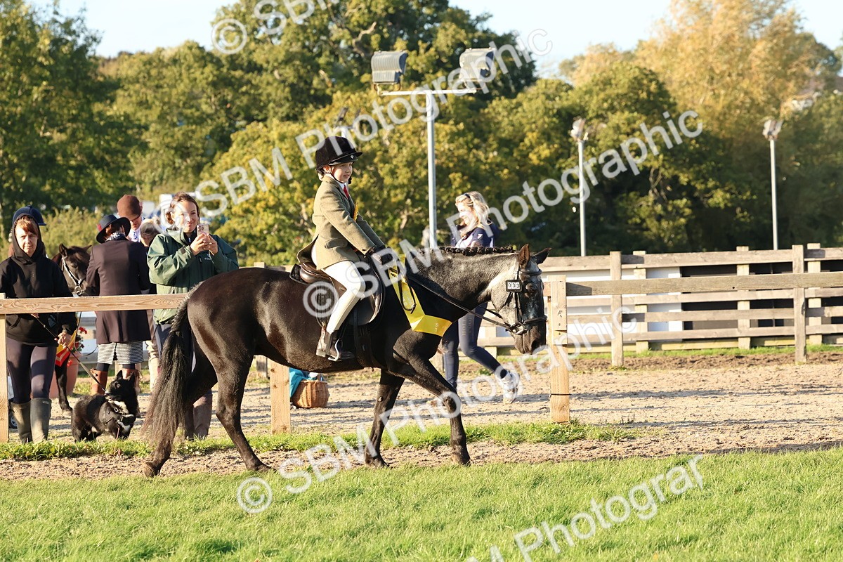 SBM_53122 - Veteran Supreme Championship