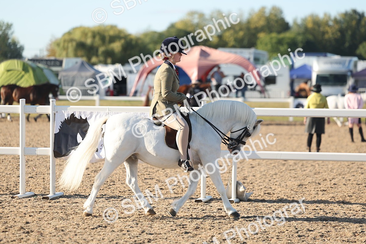 SBM_10888 - Class 301 - Ridden M&M Small Breeds
