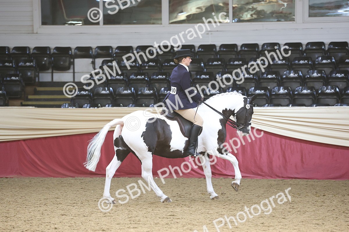 SBM_23759 - class 906 - Supreme Final - Ridden Pre Vet