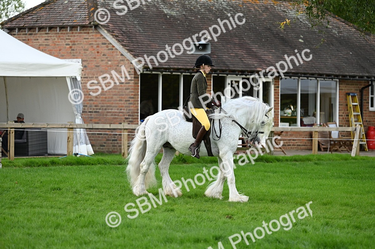 SBM_26553 - S7 - Novice & Newcomer Ridden Pony