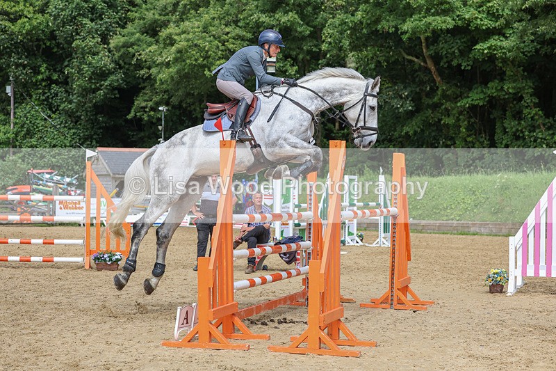 3E7A7568 - Class 9: Senior Foxhunter/1.20 open