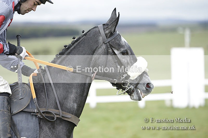 PtP 150320 0458 - New Forest Point-to-Point Larkhill 15/03/20