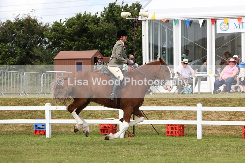 3E7A0299 - Class 6: Rising Star Maxi Cobs