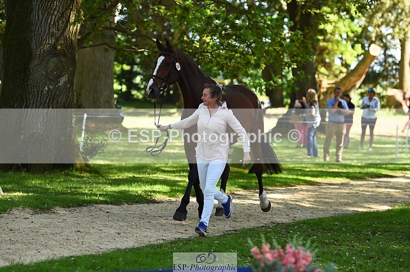 230524-153808-00402 - 368-COIRBAN_SARCO_DELUX-Rebecca_Gibbs-WEDTrotUp+DR