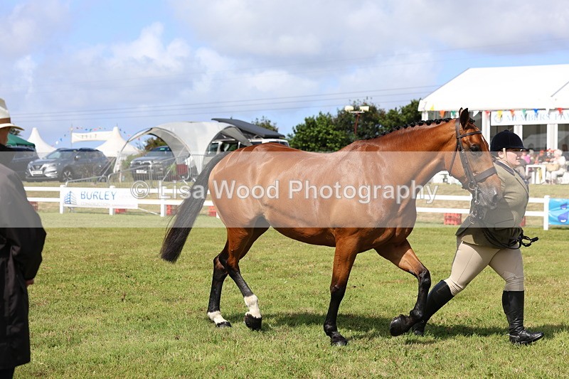 3E7A9526 - Class 4: Rising Star M/H Hunter