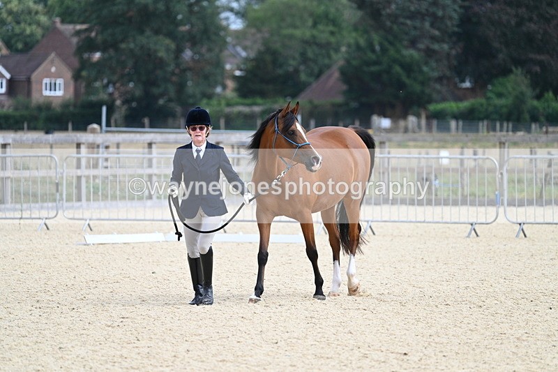 WJ7_1806 - In Hand