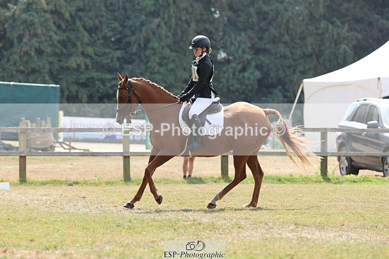 250823A-135713-31416 - Arena D