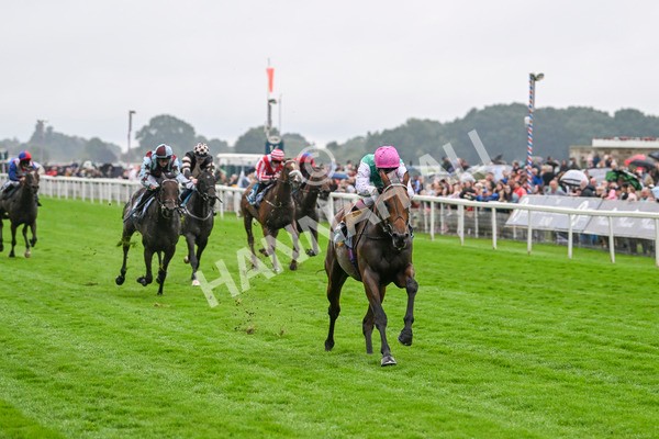 080924-Race 1-Windlord-8799 - Race 1 1.40pm British European Breeders Fund Novice Stakes