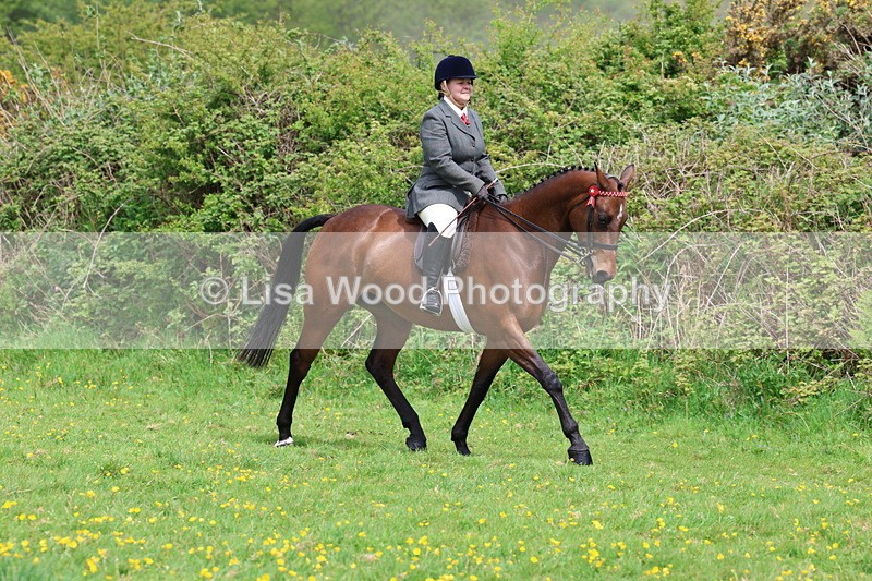 3E7A1697 - Class 9: Riding Club Horse/Pony