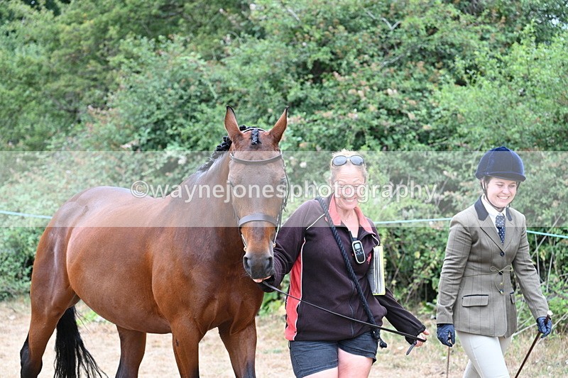WJ7_8643 - Class 4a Prettiest Mare 14.2hh and over