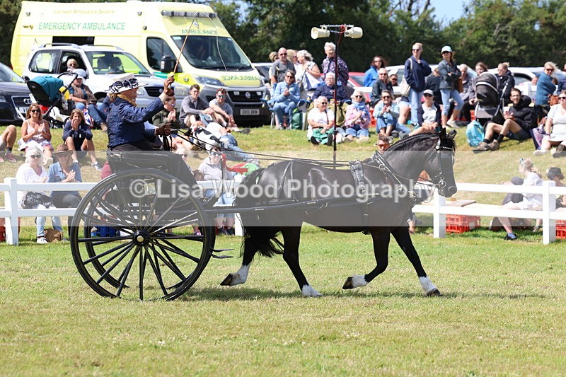 3E7A2826 - Class 12: Open Driving