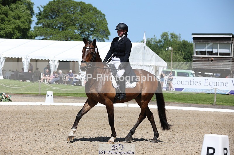 230526-113802-06086 - 154-GELUK_G-Molly_Adams-WEDTrotUp+DR