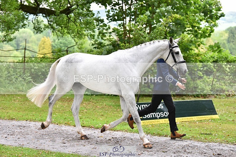 240522-160908-00747 - 156-JAG_WOMANIZER_LADY-Beatrice_Montgomerie