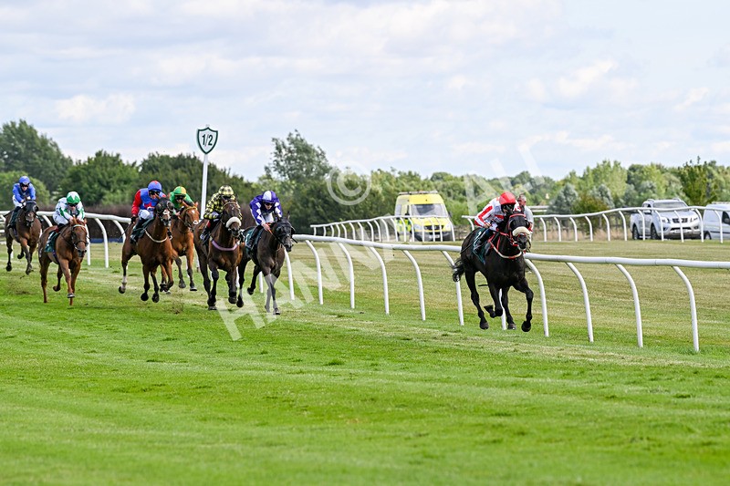 090725-Race 5-Cosmic Soul-3430 - Race 5