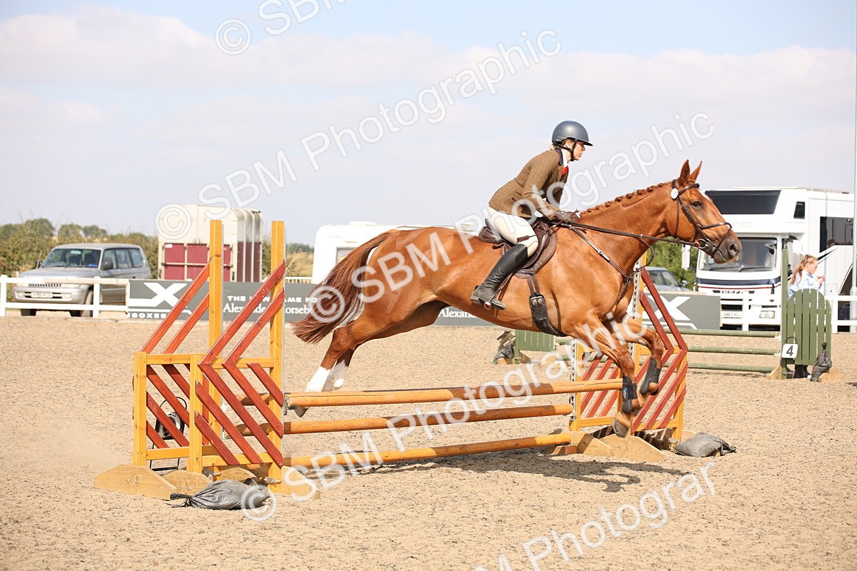 SBM_15018 - Class 408a - Working Veteran 70cm (15-19