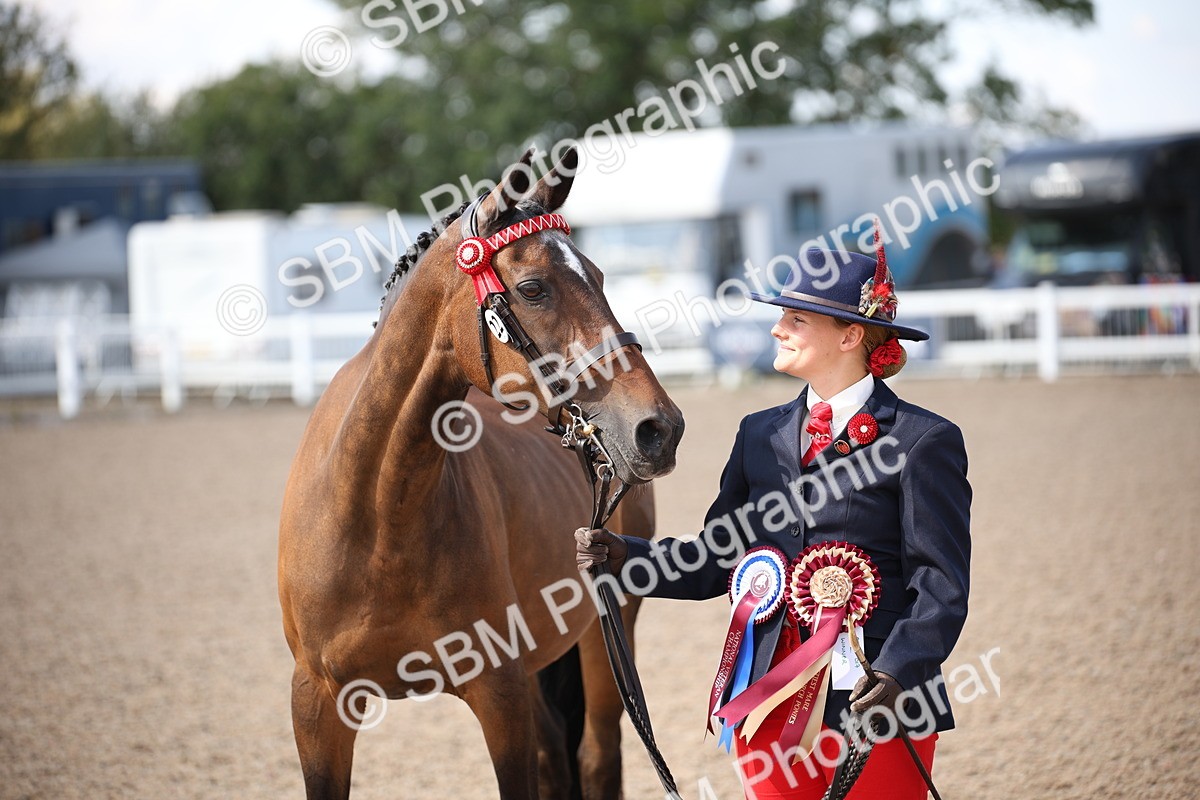SBM_03071 - Class 17 Prettiest Mare IH or Ridden