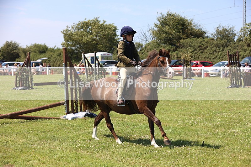 JPP_2223 - Class 20: Tiny Tots Working Hunter Pony