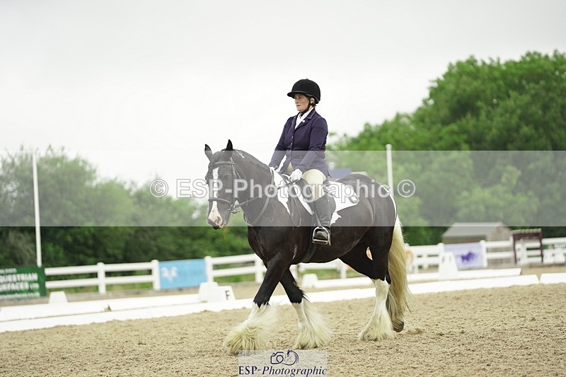 230708A-100434-00297 - Intro C