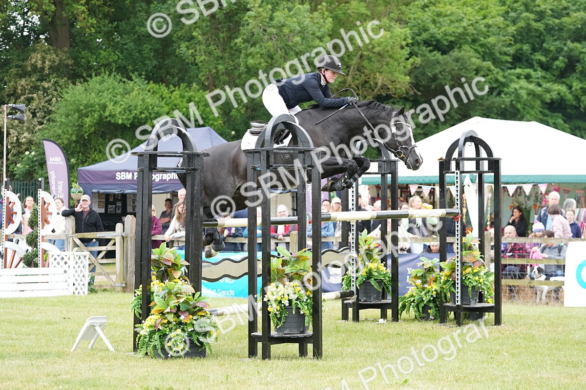 SBM_05121 - Class 201 - British Horse Feeds Speedi Beet Horse of the Year Show Grade  C