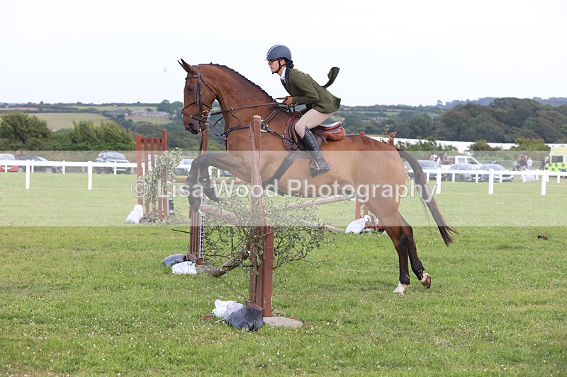 JPP_4342 - Class 26: Working Hunter 1m