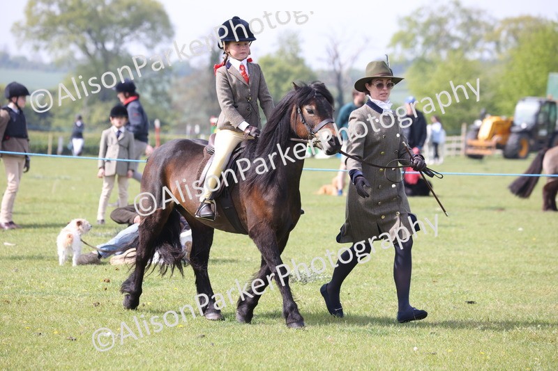 20260426-2469 - Class 31 - Leading Rein