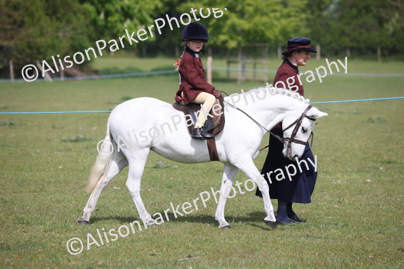 20260426-0609 - Class 31 - Leading Rein