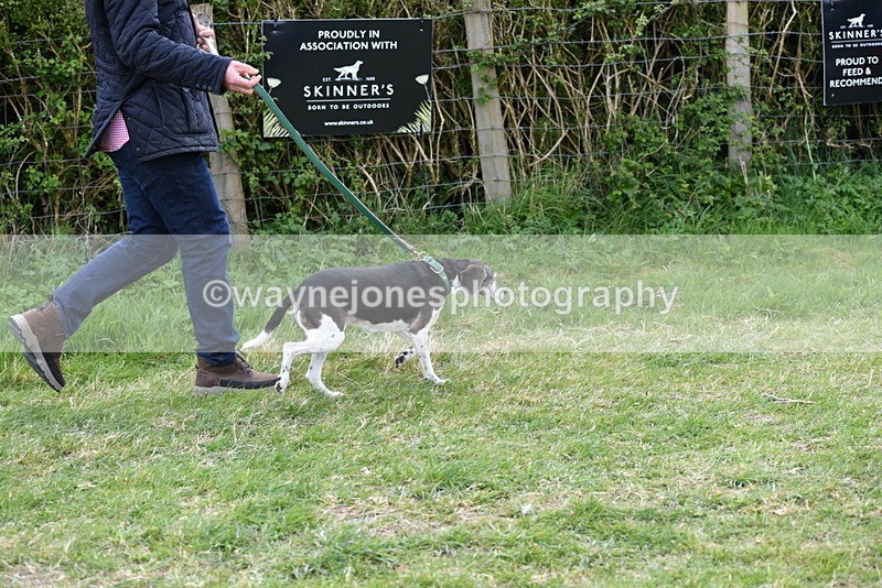 WJ5_0067 - Class 5 Best Veteran / 7 years & over