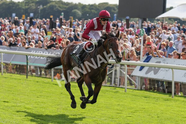 yr18082021r4-78 - Race 4 3.35pm Juddmonte International Stakes (British Champion Series race)